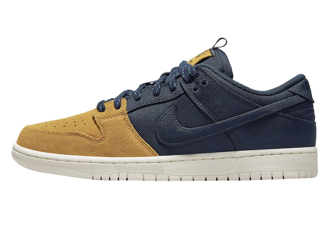 Nike SB Dunk Low PRO Back Pack