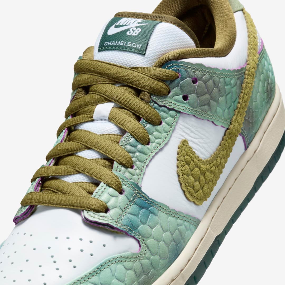 Nike SB Dunk Low PRO Chameleon