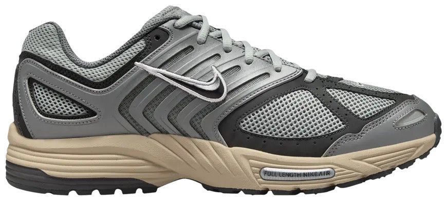 Nike Air Pegasus 2005