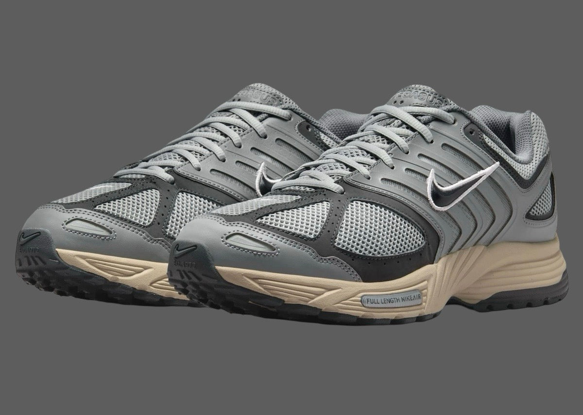 Nike Air Pegasus 2005