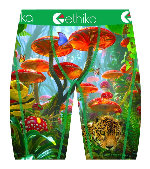 Ethika "Kingdom Morning " Boxer Multi