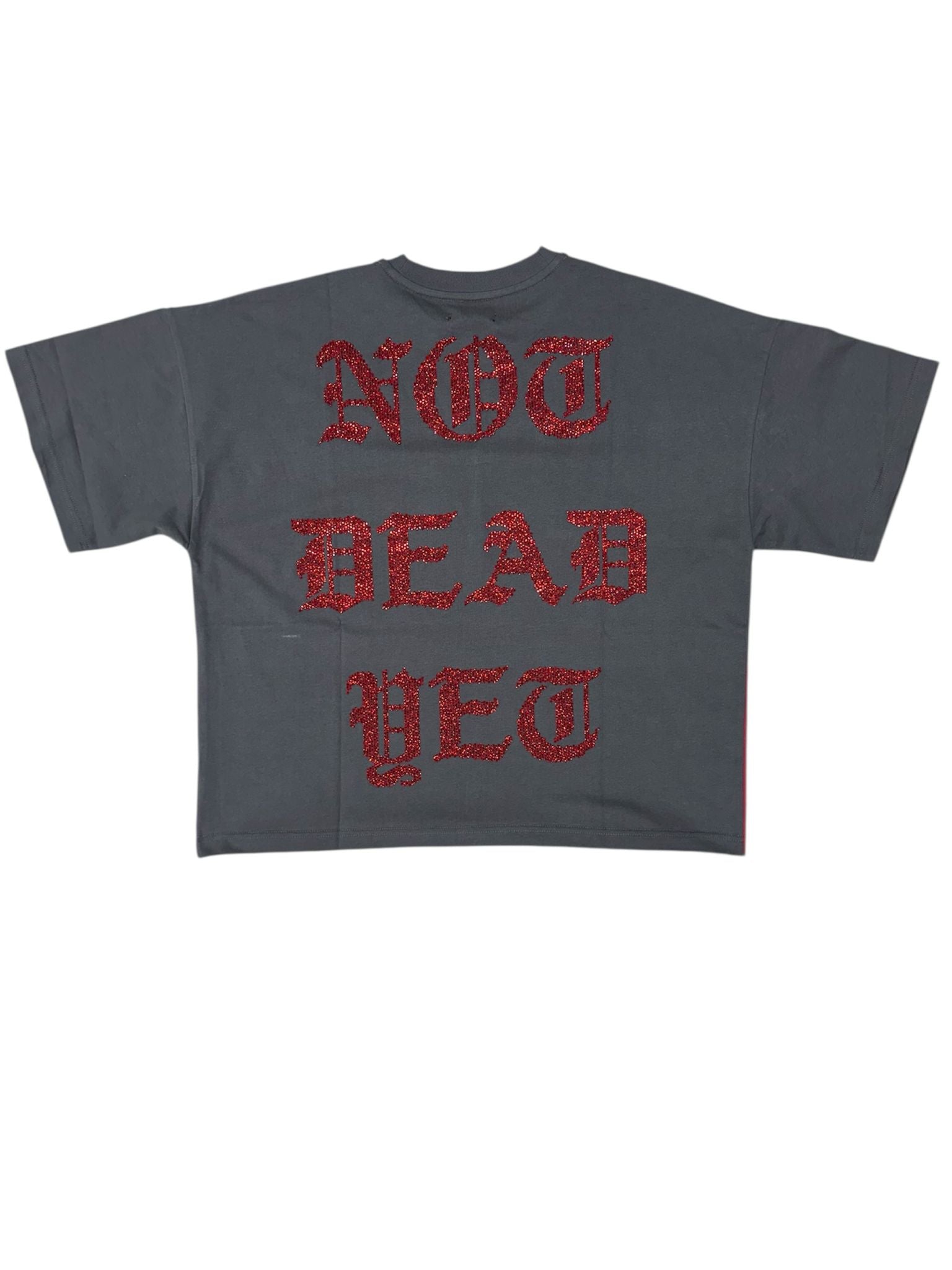 Silnt Chptrs "Hell Hound" Box Tee Vintage Grey