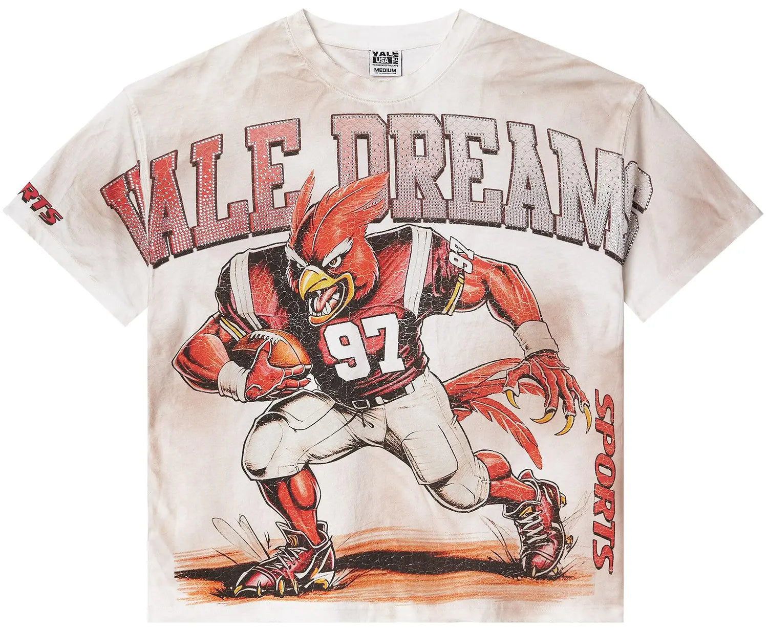 Valley Dream Cardinals Football Graphic Tee Cream