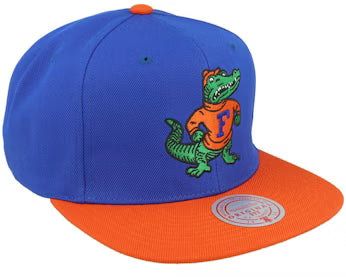 Florida Gators Blue & Orange Snapback Hat