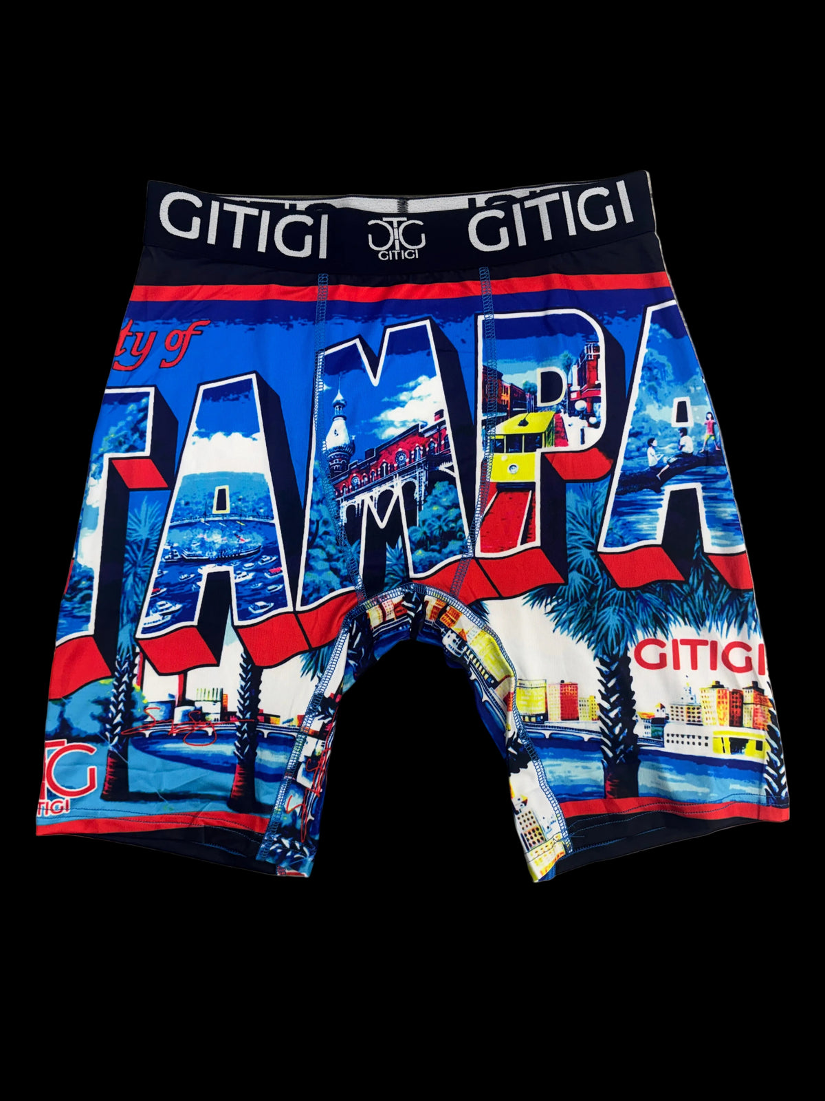 GITIGI 'Tampa' Blue/Multi-Color Boxer Briefs