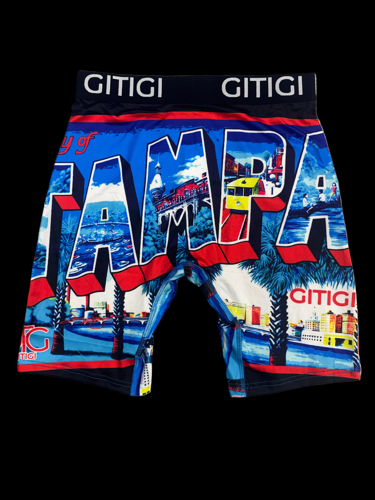 GITIGI 'Tampa' Blue/Multi-Color Boxer Briefs