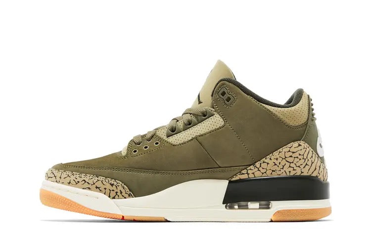 Air Jordan 3 Retro Family Affair