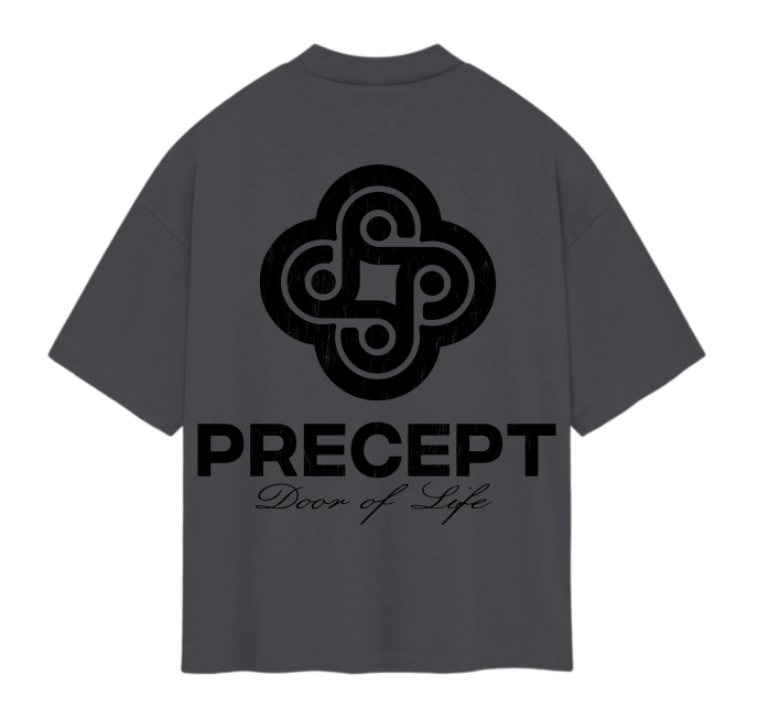 Precept 'Captain Girl' grey graphic tee, alternate view.