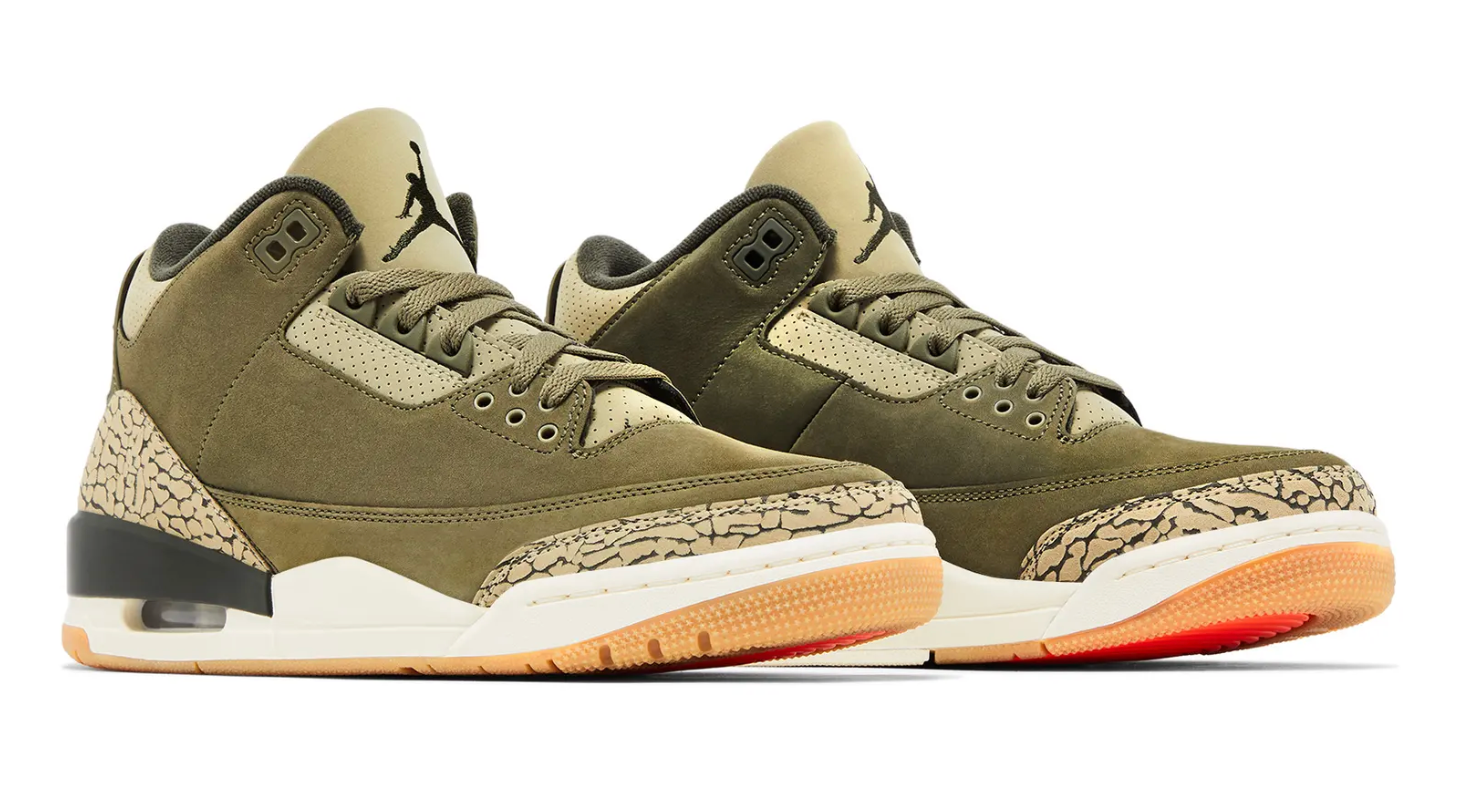 Air Jordan 3 "Family Affair" (2025)