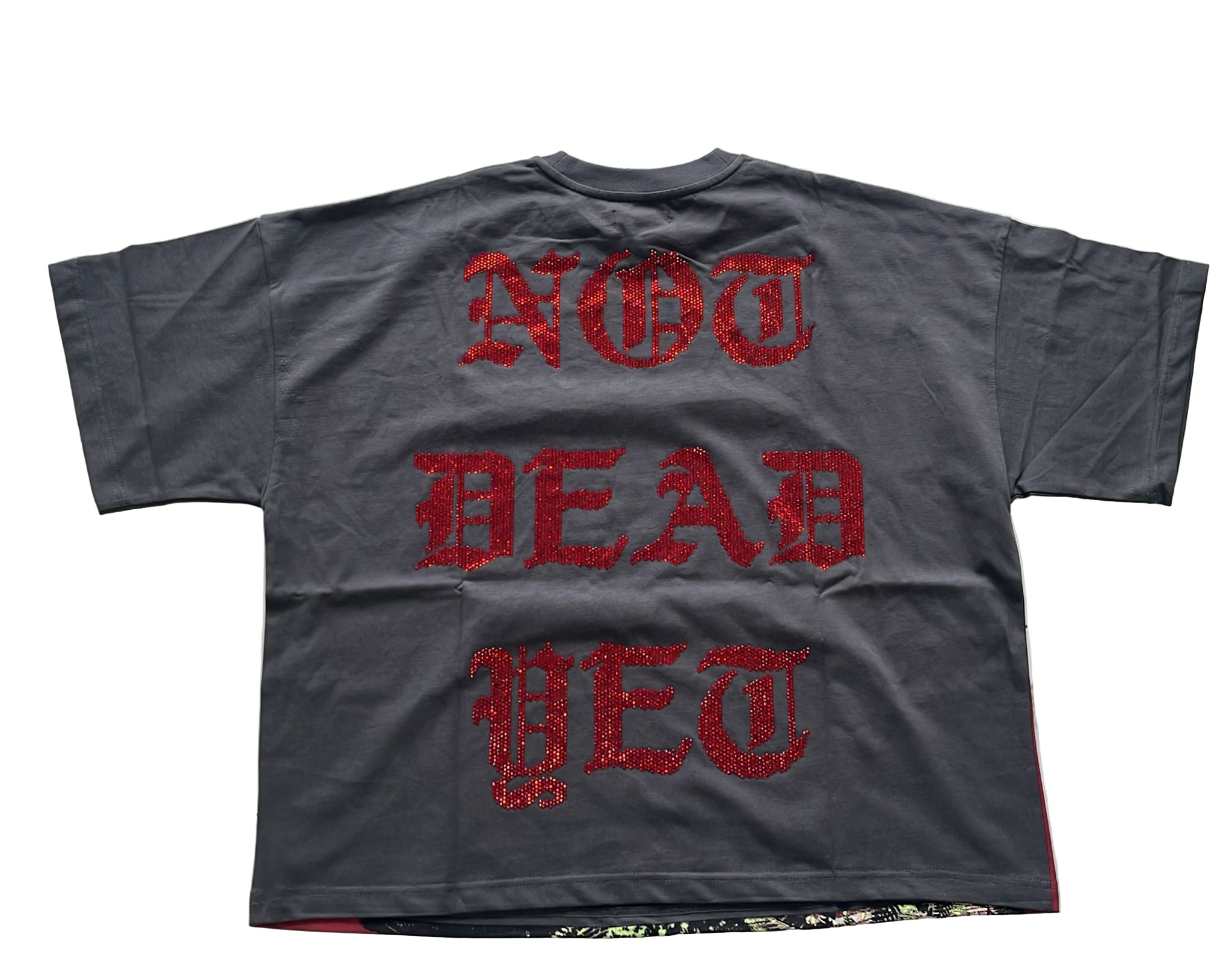Silnt Chptrs "Hell Hound" Box Tee Vintage Grey